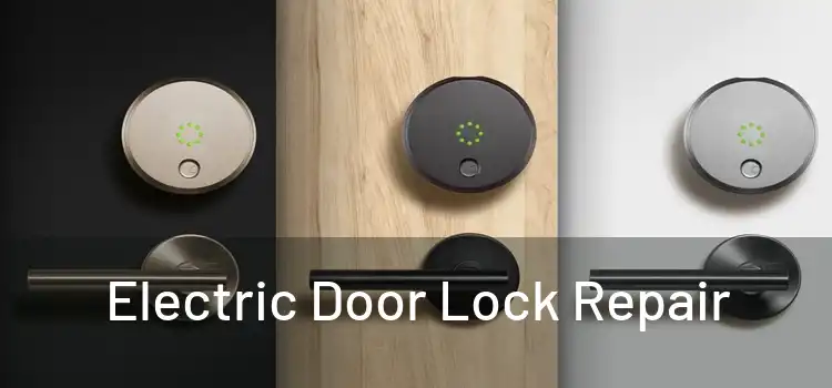 Electric Door Lock Repair